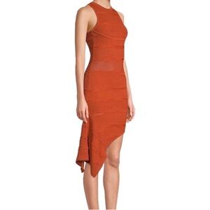Revolve Ronny Kobo Alzata Bodycon Dress Sleeveless Strappy